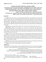 Đánh giá độc tính bán trường diễn và khảo sát tác dụng hướng androgen của viên nang KS (Dâm dương hoắc, Cửu thái tử, Đinh lăng và Bạch quả) kết hợp Testocaps trên chuột nhắt trắng