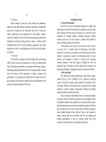 Self-studying social sciences and humanities skills of cadets at division level