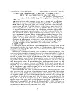 Nghiên cứu chẩn đoán và xử trí chửa ngoài tử cung tại Bệnh viện Sản Nhi Bắc Giang năm 2015-2016