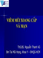 Bài giảng Viêm mũi xoang cấp mạn - ThS.BS. Nguyễn Thanh Vũ