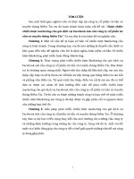 Hoàn thiện chiến lược marketing cho gói dịch vụ facebook ads của công ty cổ phần tư vấn 