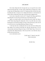 GIẢI PHÁP MARKETING DI ĐỘNG CHO CÔNG TY cổ PHẦN THƢƠNG mại THÀNH CÔNG 