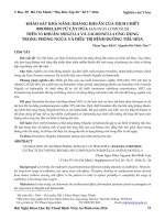 Khảo sát khả năng kháng khuẩn của dịch chiết bromelain từ cây dứa (Ananas comosus) trên vi khuẩn Shigella và Salmonella ứng dụng trong phòng ngừa và điều trị bệnh đường tiêu hóa