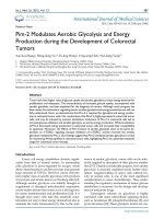 Pim-2 modulates aerobic glycolysis and energy production during the development of colorectal tumors
