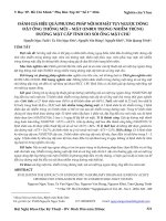 Đánh giá hiệu quả phương pháp nội soi mật tụy ngược dòng đặt ống thông mũi – mật trong nhiễm trùng đường mật cấp tính do sỏi ống mật chủ