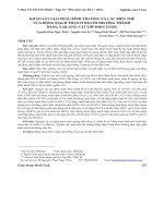 Khảo sát giải phẫu bình thường và các biến thể của động mạch thận ở người trưởng thành bằng X quang cắt lớp điện toán