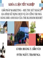 Khoa luận tốt nghiệp: Giải pháp marketing – mix thu hút khách gia đình sử dụng dịch vụ ăn uống tại nhà hàng đảo Anh Đào của the blossom resort