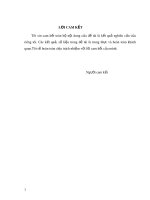 Đề tài: Thực trạng và giải pháp nâng cao hiệu quả việc sử dụng Internet  của sinh viên Trường Đại học Nội vụ  phân hiệu tại Quảng Nam