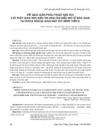 Kết quả gần phẫu thuật nội soi cắt thùy gan trái điều trị ung thư biểu mô tế bào gan tại khoa ngoại gan mật tụy Bệnh viện K