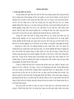 Hoạch định chiến lược phát triển thị trường cho công ty trách nhiệm hữu hạn nội thất ASV 