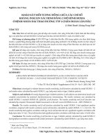 Khảo sát mối tương đồng giữa các chỉ số kháng insulin xác định bằng 2 mô hình HOMA ở bệnh nhân đái tháo đường týp 2 chẩn đoán lần đầu