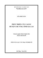 Tóm tắt Luận văn Thạc sĩ Kinh tế: Phát triển cây cao su huyện Chư Păh, Tỉnh Gia lai