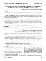 Đánh giá kết quả bước đầu phẫu thuật nội soi tạo hình khúc nối bể thận niệu quản tại Bệnh viện Phụ sản Nhi Đà Nẵng