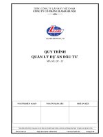 Quy trinh quan ly du an dau tu 