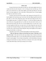 Phân tích hiệu quả sử dụng vốn kinh doanh tại công ty TNHH đầu tƣ xây dựng tân xuân 