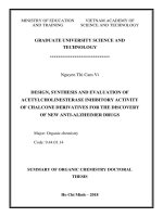 Summary of organic chemistry doctoral thesis: Design, synthesis and evaluation of acetylcholinesterase inhibitory activity of chalcone derivatives for the discovery of new anti-alzheimer