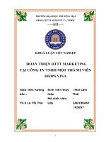 Hoàn thiện HTTT marketing tại công ty TNHH một thành viên DIOPS VINA 
