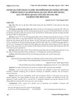 Đánh giá chẩn đoán và điều trị nhiễm khuẩn đường tiết niệu ở bệnh nhân tạo hình bàng quang bằng hồi tràng sau cắt bàng quang tận gốc do ung thư tại Bệnh viện Bình Dân