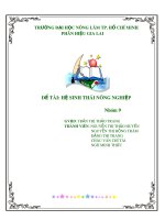 Bài tiểu luận: Hệ sinh thái nông nghiệp