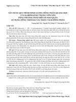 Xây dựng quy trình định lượng đồng phân quang học của rabeprazole trong viên nén bằng phương pháp điện di mao quản sử dụng đồng thời hai tác nhân tách đồng phân