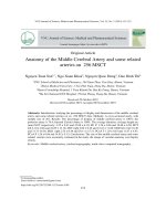 Giải phẫu động mạch não giữa và một số động mạch liên quan trên hình ảnh chụp cắt lớp vi tính 256 dãy
