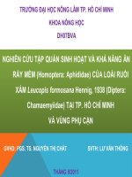 Báo cáo khóa luận tốt nghiệp: Nghiên cứu tập quán sinh hoạt và khả năng ăn rầy mềm (Homoptera: Aphididae) của loài ruồi xám Leucopis formosana Hennig, 1938 (Diptera: Chamaemyiidae) tại Tp.