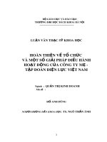 Luận văn Thạc sĩ: Bàn thiện về tổ chức và một số giải pháp điều hành hoạt động của Công ty mẹ - Tập đoàn Điện lực Việt Nam