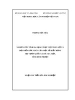 Luận án tiến sĩ Nông nghiệp: Nghiên cứu tính đa dạng thực vật thân gỗ và đặc điểm cấu trúc của một số kiểu rừng chính tại Vườn Quốc gia Bù Gia Mập, tỉnh Bình Phước