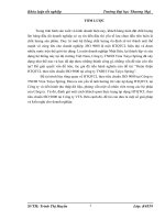 Phát triển hoạt động quảng cáo của công ty TNHH sản xuất thƣơng mại hùng tuấn phát trên thị trƣờng nội địa 