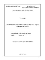 Tóm tắt Luận án Tiến sĩ Toán học: Phát triển các cấu trúc, thuật học của mạng nơron tự tổ chức