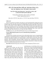 Yếu tố ảnh hưởng đến sự thành công của dự án trong các tổ chức sản xuất