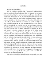 Tóm tắt luận văn Thạc sỹ Luật học: Những vấn đề lý luận và thực tiễn về bảo vệ quyền phụ nữ bằng pháp luật hình sự ở Việt Nam