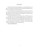 Năng lực cung ứng dịch vụ giao nhận hàng hóa xuất nhập khẩu bằng đường hàng không tại công ty TNHH thương mại và giao nhận minh long 