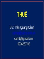 Bài giảng Thuế: Chương 6 - ThS. Trần Quang Cảnh