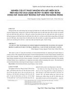 Nghiên cứu kỹ thuật nhuộm hóa mô miễn dịch trên mẫu mô dịch Liquid biopsy tại Bệnh viện Trung Ương Huế: Nhân một trường hợp ung thư buồng trứng