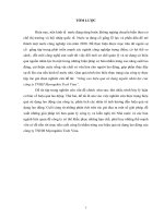 Nâng cao hiệu quả sử dụng nguồn nhân lực của công ty TNHH myongshin tech vina 