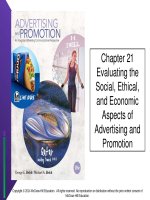 Lecture Advertising and promotion: An integrated marketing communications perspective  (10/e): Chapter 21 - George E. Belch, Michael A. Belch