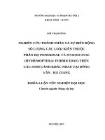 Nghiên cứu thành phần và sự biến động số lượng các loài kiến thuộc phân họ ponerinae và myrmicinae (hymemoptera formicidae) trên các sinh cảnh khác nhau tại đồng văn   hà giang (2017) 