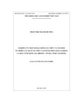 Luận án tiến sĩ Lâm nghiệp: Nghiên cứu một số đặc điểm cấu trúc và tái sinh tự nhiên các quần xã thực vật rừng hỗn giao lá rộng, lá kim vườn quốc gia Bidoup - Núi Bà, tỉnh Lâm Đồng