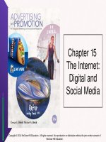 Lecture Advertising and promotion: An integrated marketing communications perspective  (10/e): Chapter 15 - George E. Belch, Michael A. Belch