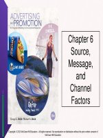 Lecture Advertising and promotion: An integrated marketing communications perspective  (10/e): Chapter 6 - George E. Belch, Michael A. Belch