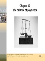 Lecture International trade and investment (2/e): Chapter 10 - John Gionea