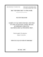 Tóm tắt Luận án tiến sĩ Sinh học: Nghiên cứu đặc điểm sinh học, sinh thái của ong Anisopteromalus calandrae (Howard) ký sinh mọt Cánh cứng hại trong kho tại tỉnh Đồng Tháp