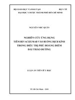 Luận án tiến sĩ Y học: Nghiên cứu ứng dụng tiêm bevacizumab vào buồng dịch kính trong điều trị phù hoàng điểm đái tháo đường