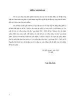 Luận án Tiến sĩ: Nghiên cứu biến dị, khả năng di truyền về sinh trưởng và một số tính chất gỗ của Bạch đàn pelita tại Bàu Bàng (Bình Dương) và Pleiku (Gia Lai)