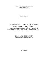 Nghiên cứu xây dựng qui trình nhân giống cây củ mài (dioscorea persimilis) bằng phương pháp nuôi cấy mô tế bào thực vật (2017) 
