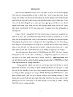 Phát triển chính sách xúc tiến thƣơng mại sản phẩm ấn phẩm quảng cáo của công ty TNHH thƣơng mại TMT việt nam trên thị trƣờng miền bắ 