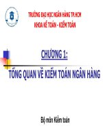 Bài giảng học phần Kiểm toán ngân hàng: Chương 1 - ĐH Ngân hàng TP.HCM