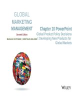 Lecture Global marketing management (7th edition): Chapter 10 - Masaaki Kotabe, Kristiaan Helsen