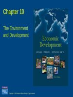 Lecture Economic development - Chapter 10: The environment and development